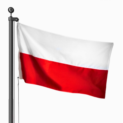 Projekt bez nazwy (2).png